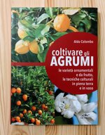coltivare-gli-agrumi