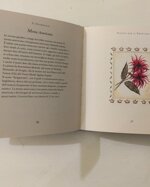 box-regalo-giardino-fiorito