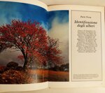 guida-illustrata-degli-alberi