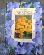 fiori-e-piante-da-appartamento