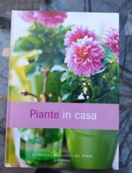 piante-in-casa