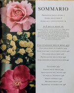 rose-la-grande-enciclopedia-illustrata