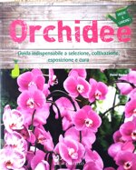 orchidee