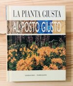 la-pianta-giusta-al-posto-giusto