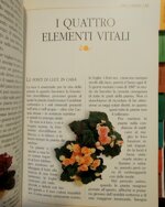 pollice-verde-il-manuale-completo-del-giardinaggio