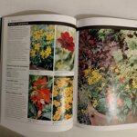 patio-terrazze-e-balconi