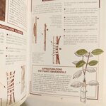 innesti-e-tecniche-di-riproduzione