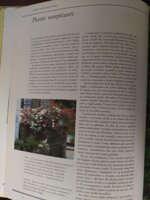 venduto-il-giardino-in-citta