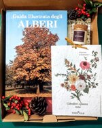 box-regalo-alberi