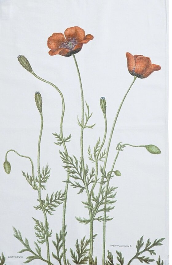 bc279d22-54e5-481c-9e95-5badbdfb690d