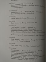 in-difesa-del-parco-di-veio