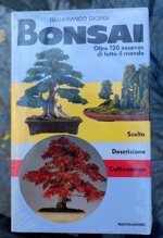 bonsai-oltre-120-essenze-di-tutto-il-mondo
