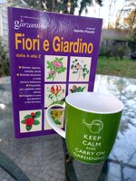 box-regalo-keep-calm