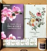 box-regalo-calendario-piantabile-2026