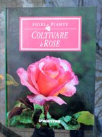 venduto-coltivare-le-rose