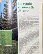 il-prato-ornamentale-guida-pratica-per-la-preparazione-e-la-cura-del-tappeto-erboso