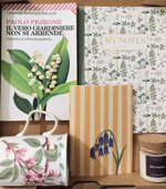 box-regalo-in-giardino