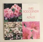 i-miei-rododendri-e-azalee