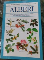 alberi-guida-fotografica-a-oltre-500-specie-di-alberi-di-tutto-il-mondo