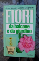 fiori-da-balcone-e-da-giardino