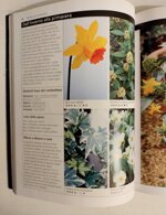 patio-terrazze-e-balconi