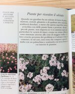 la-pianta-giusta-al-posto-giusto