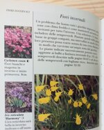 la-pianta-giusta-al-posto-giusto