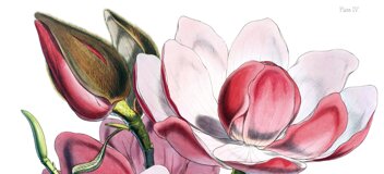 6ac933d9-1a87-4475-9b93-50322e736782