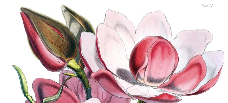 79159878-64c5-4ca6-a9fe-11ba3749db73