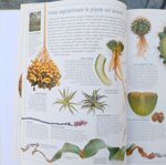 i-deserti-biblioteca-illustrata-del-sapere