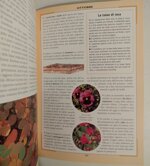 calendario-lunare-delle-semine-e-dei-lavori