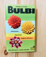 bulbi
