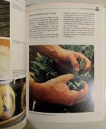 il-grande-libro-dei-cactus-e-delle-piante-grasse-scelta-ambientazione-e-cure