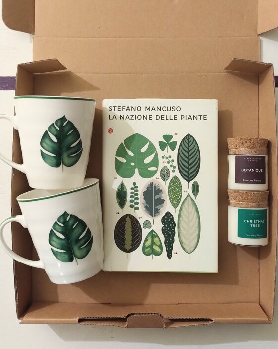 44167a23-c95f-42ee-9439-df5850222dfe