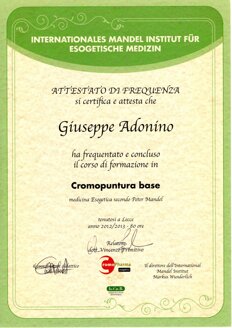 cromopuntura base_page-0001.jpeg