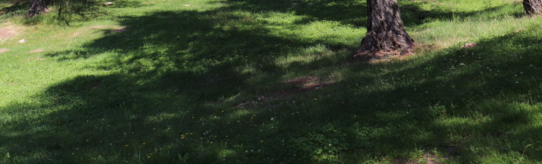 img_1047.jpeg