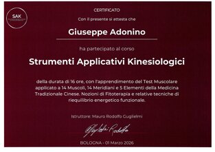 kinesiologia.jpeg