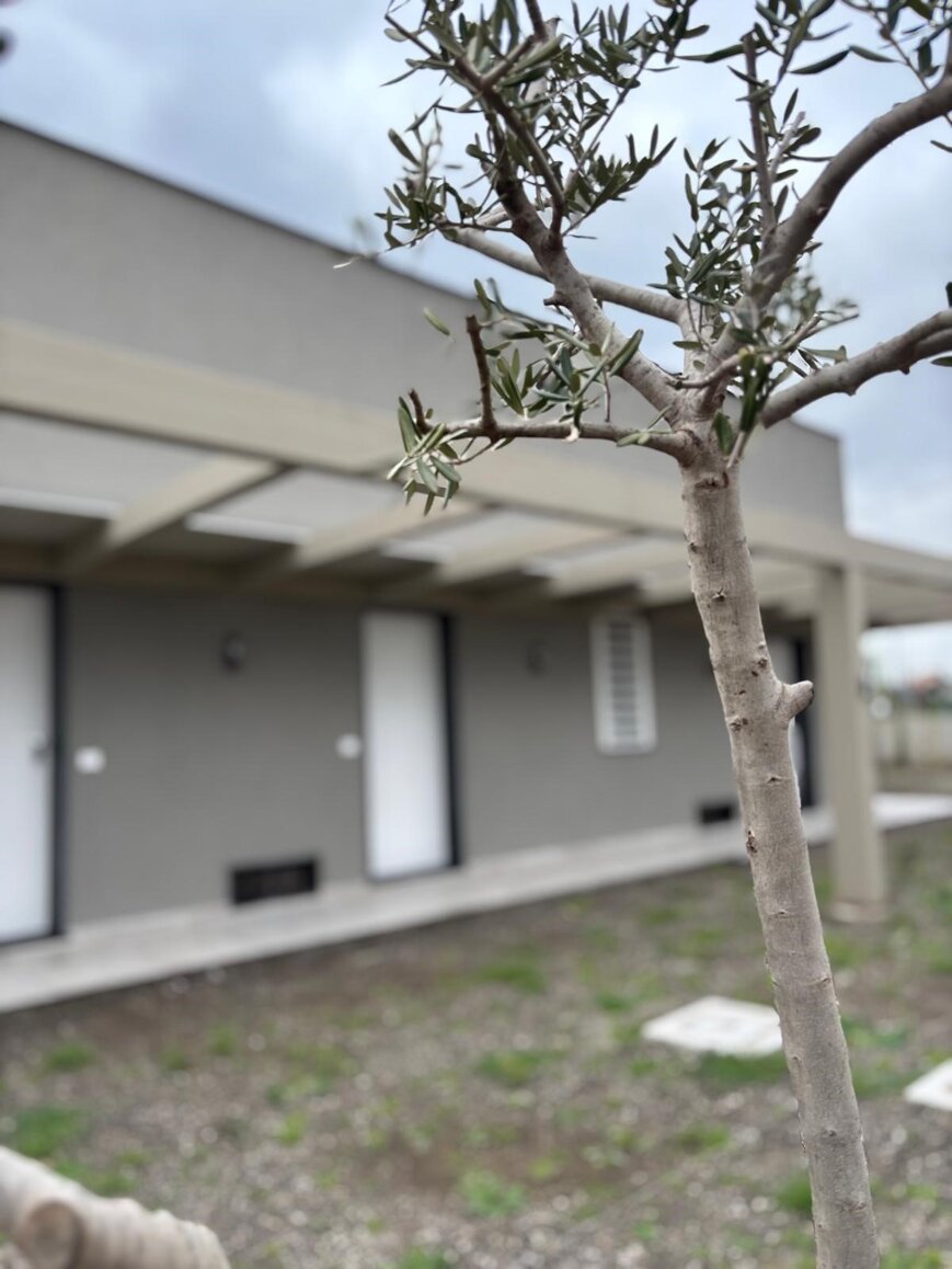 whatsapp image 2026-02-16 at 14.20.09 (4).jpeg