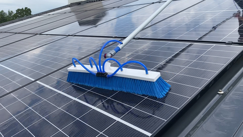 vlcsnap-2025-07-26-09h20m08s039