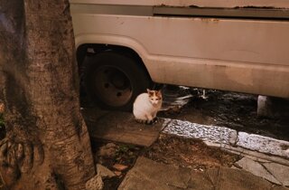 pagina3.jpeg pagina3.jpeg