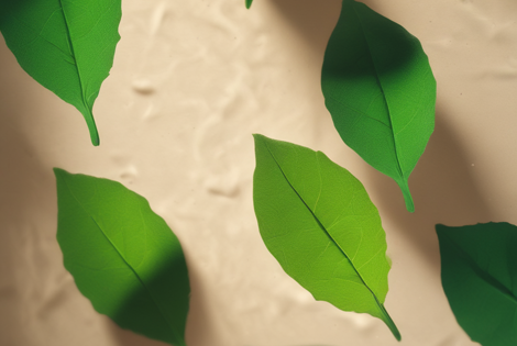 37404_a197924df0aeb173265131c2c809da440ac30304 37404_a197924df0aeb173265131c2c809da440ac30304