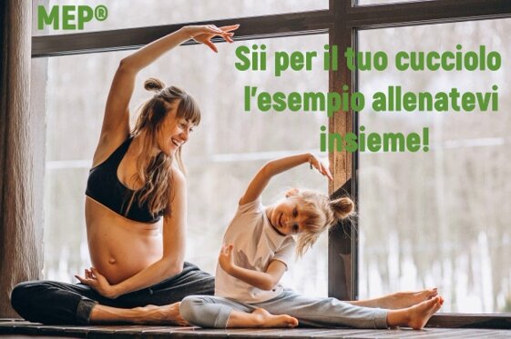 17d95e26-c51e-4949-8f45-1244430af332