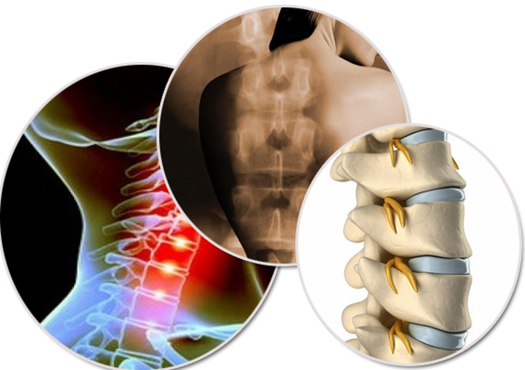 2d082be9-b5f4-43b6-913f-10793847e2ad