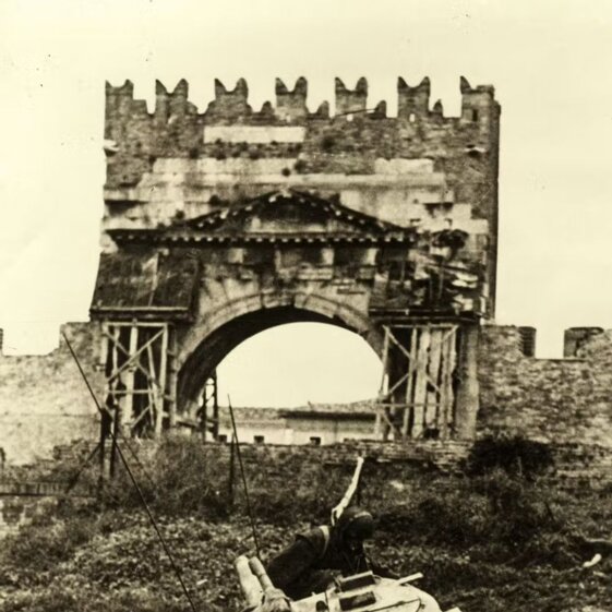 c5558b4e-368f-42f3-aa74-d77962679e67