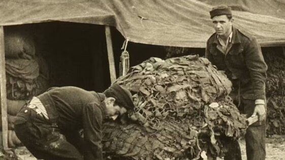 ebc2781b-4779-475f-90f4-bb850087d5b0