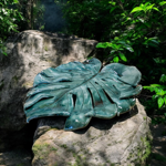 foglia-monstera-1