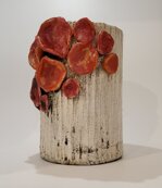 vaso-papaveri-2