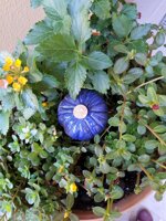 riserve-dacqua-per-fiori