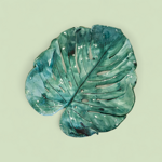 foglia-monstera-1