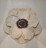 fiore-da-muro